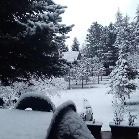 Sumska Kuca Atina - Devojacki Bunar Prázdninový dům Alibunar