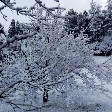 Sumska Kuca Atina - Devojacki Bunar