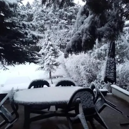 Sumska Kuca Atina - Devojacki Bunar Holiday home Alibunar