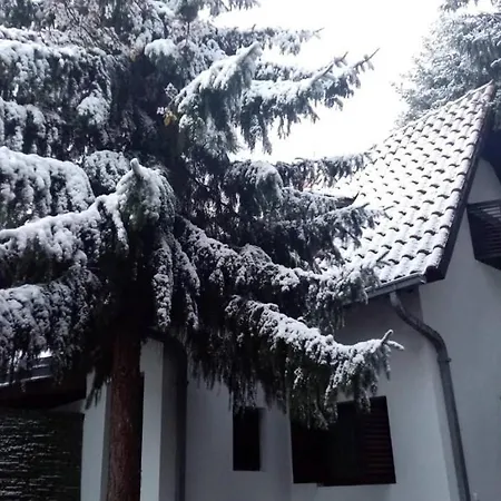 Sumska Kuca Atina - Devojacki Bunar Prázdninový dům Alibunar