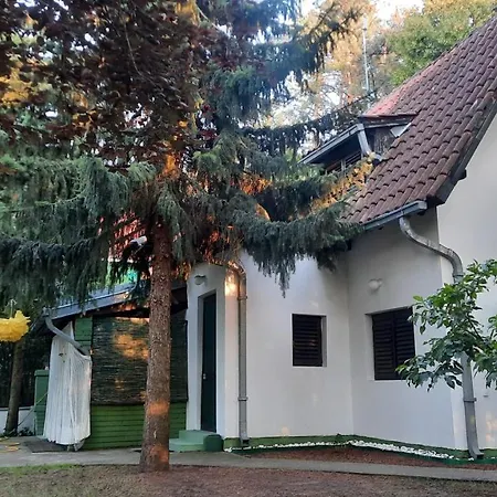 Sumska Kuca Atina - Devojacki Bunar Prázdninový dům