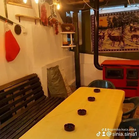Holiday home Sumska Kuca Atina - Devojacki Bunar Alibunar