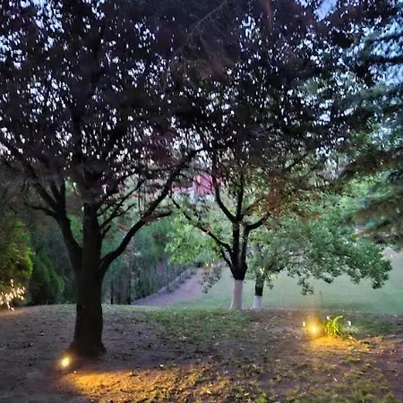 Sumska Kuca Atina - Devojacki Bunar Alibunar