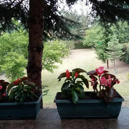 Sumska Kuca Atina - Devojacki Bunar *