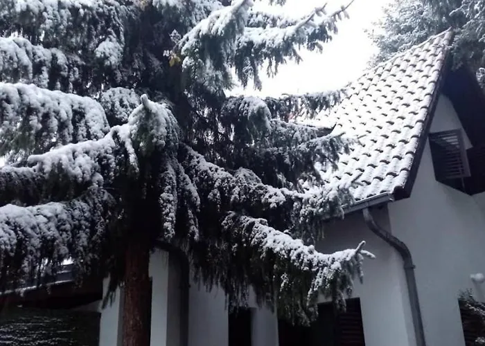 Sumska Kuca Atina - Devojacki Bunar Сasa de vacaciones Alibunar