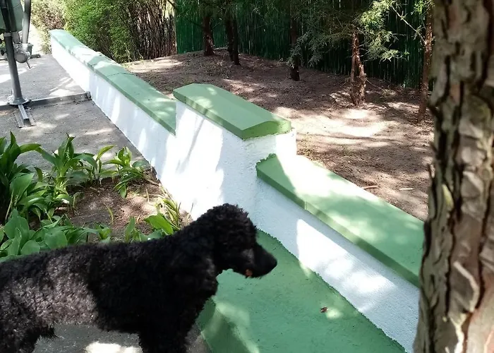 Sumska Kuca Atina - Devojacki Bunar